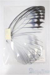 1/6サイズドール/OF:小物/0 A-25-04-09-337-NY-ZA