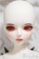 画像1: 【DOLK×MYOU DOLL】Delia 黒猫 ver. Limited/BJD　球体関節人形 A-25-04-09-339-NY-ZA (1)