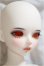 画像2: 【DOLK×MYOU DOLL】Delia 黒猫 ver. Limited/BJD　球体関節人形 A-25-04-09-339-NY-ZA (2)