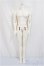 画像1: Telesthesia Doll（DragonDoll）/75壮一代体縮小版 51cm Boy Body/BJD　球体関節人形 A-25-04-16-191-NY-ZA (1)