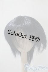 9-10inch/ウィッグ U-25-04-29-040-NY-ZU