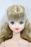 画像1: ジェニー/ジェニーフレンド:ジュリア/BJD　球体関節人形 A-25-04-16-155-NY-ZA (1)