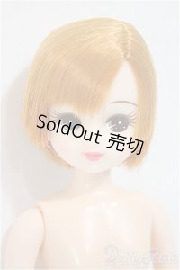 リカちゃんキャッスル/リカちゃん:本体/BJD　球体関節人形 A-25-04-16-156-NY-ZA