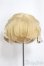 画像1: 9-10inch/ウィッグ/インチ　BJD　MJD　ドール用 A-25-04-16-331-NY-ZA (1)