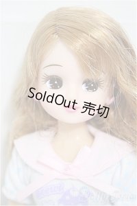 リカちゃん/中国製/BJD　球体関節人形 A-25-04-16-306-NY-ZA