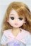 画像1: リカちゃん/中国製/BJD　球体関節人形 A-25-04-16-306-NY-ZA (1)