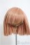 画像1: 9-10inch/ウィッグ/インチ　BJD　MJD　ドール用 A-25-04-16-333-NY-ZA (1)