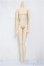 画像1: JHDtoys/女性ボディ　約30ｃｍ級/ A-25-04-16-311-NY-ZA (1)