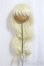 画像1: 8-9inch/ウィッグ/インチ　BJD　MJD　ドール用 A-25-04-23-102-KD-ZA (1)