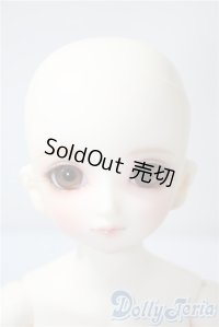 SDM女の子/コーディネートモデル白蓮 U-25-04-22-214-NY-ZU