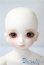 画像1: SDM女の子/コーディネートモデル白蓮 U-25-04-22-214-NY-ZU (1)