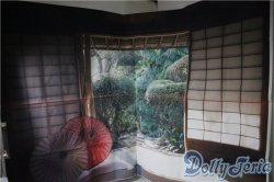 画像1: SD/OF:小物 U-25-04-29-110-NY-ZU