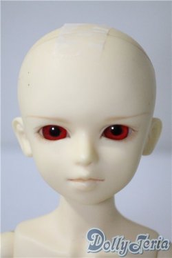画像1: MSDBOY/フルチョイス F-08 U-25-04-29-209-KD-ZU