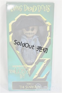 画像2: Living Dead Dolls/The Lost of Oz : The Scarecrow/ A-25-04-23-346-KD-ZA