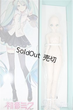 画像5: DD/初音ミク NT/BJD 球体関節人形 A-25-04-23-300-NY-ZA