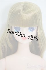 リカちゃんキャッスル/マリー　おたのしみドール/BJD　球体関節人形 A-25-04-23-282-NY-ZA