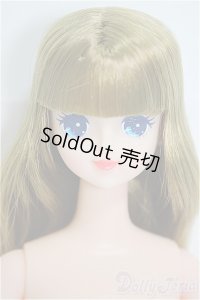 リカちゃんキャッスル/マリー　おたのしみドール/BJD　球体関節人形 A-25-04-23-282-NY-ZA