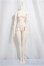 画像1: Fatemoons/1/4 Girl Body (45cm, 学姐体)/BJD　球体関節人形 A-25-04-30-164-NY-ZA (1)