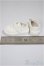 画像2: 幼SD/OF:靴/1/6　30ｃｍ　BJD　MJD　衣装　ドール用 A-25-04-30-208-NY-ZA (2)
