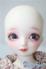 SDMG/F-62：コーディネートモデル U-25-05-06-212-NY-ZU