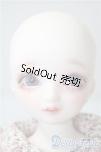 SDMG/F-62：コーディネートモデル U-25-05-06-212-NY-ZU
