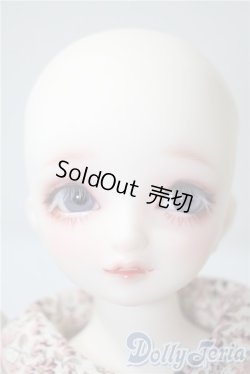 画像1: SDMG/F-62：コーディネートモデル U-25-05-06-212-NY-ZU