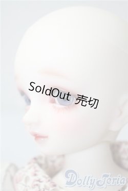 画像2: SDMG/F-62：コーディネートモデル U-25-05-06-212-NY-ZU