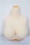 画像1: azone/上半身外皮パーツL胸/0 A-25-04-30-317-NY-ZA (1)