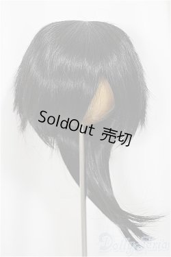 画像1: 9inch/ウィッグ/インチ　BJD　MJD　ドール用 A-25-05-07-104-NY-ZA