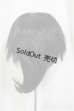 画像2: 9inch/ウィッグ/インチ　BJD　MJD　ドール用 A-25-05-07-104-NY-ZA