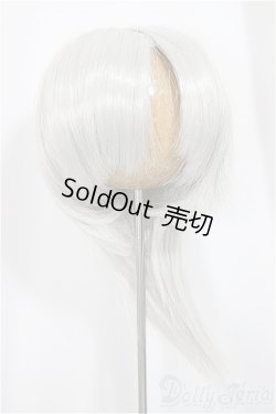 画像1: 9-10inch/ウィッグ/インチ　BJD　MJD　ドール用 A-25-05-07-103-NY-ZA