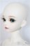 画像3: Myoudoll /Delia 1/4/ A-25-05-07-150-KD-ZA