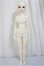 画像5: Myoudoll /Delia 1/4/ A-25-05-07-150-KD-ZA