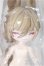 画像1: 月飛び時間/梧秋/ A-25-05-07-140-NY-ZA (1)