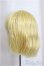 画像3: 9inch/ウィッグ DOLLCE/インチ　BJD　MJD　ドール用 A-25-05-07-207-KD-ZA (3)