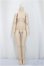 画像1: MDD/ベースボディ　フレッシュ　あさちゃんちフレーム/BJD　球体関節人形 A-25-05-07-182-KD-ZA (1)