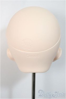 画像4: IMOMODOLL/Canis-B Head/ A-25-05-07-192-NY-ZA
