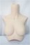 画像1: DD2.0（DD-f3）-B-M-FL 上半身パーツ-M胸 / フレッシュ/BJD　球体関節人形 A-25-05-21-119-NY-ZA (1)