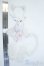 画像2: MDD/OF:衣装セット Y-25-05-21-034-NY-ZY (2)