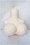 画像1: DDｄｙ/上半身パーツ/BJD　球体関節人形 A-25-05-21-118-NY-ZA (1)