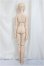 画像6: DDB/ベースボディ＆DDH-26ヘッド/BJD　球体関節人形 A-25-05-07-394-KD-ZA