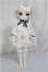 画像4: TinyFox /狐狐神?夢神 フィフレ/BJD　球体関節人形 A-25-05-14-150-NY-ZA