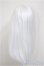 画像2: 8-9inch/ウィッグ/インチ　BJD　MJD　ドール用 A-25-08-13-392-NY-ZA (2)