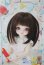 画像1: 幼SD/ニコ〜幼SD生誕15周年記念Ver.〜 U-25-05-20-218-KD-ZU (1)
