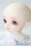 画像5: 幼SD/ニコ〜幼SD生誕15周年記念Ver.〜 U-25-05-20-218-KD-ZU