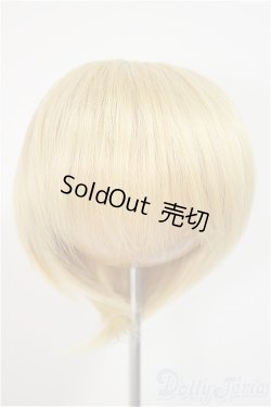画像1: 8-9inch/ウィッグ/インチ　BJD　MJD　ドール用 A-25-10-22-351-NY-ZA