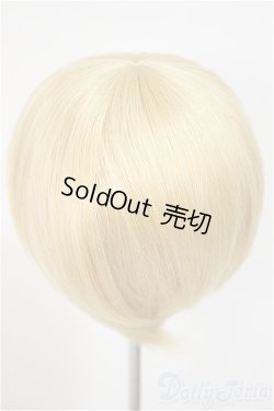 画像2: 8-9inch/ウィッグ/インチ　BJD　MJD　ドール用 A-25-10-22-351-NY-ZA