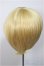 画像2: 8-9inch/ウィッグ/インチ　BJD　MJD　ドール用 A-25-06-25-246-NY-ZA (2)