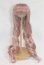 画像1: 8-9inch/ウィッグ/インチ　BJD　MJD　ドール用 A-25-05-28-013-NY-ZA (1)