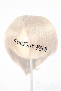 画像1: 8-9inch/ウィッグ/インチ　BJD　MJD　ドール用 A-25-10-22-382-NY-ZA